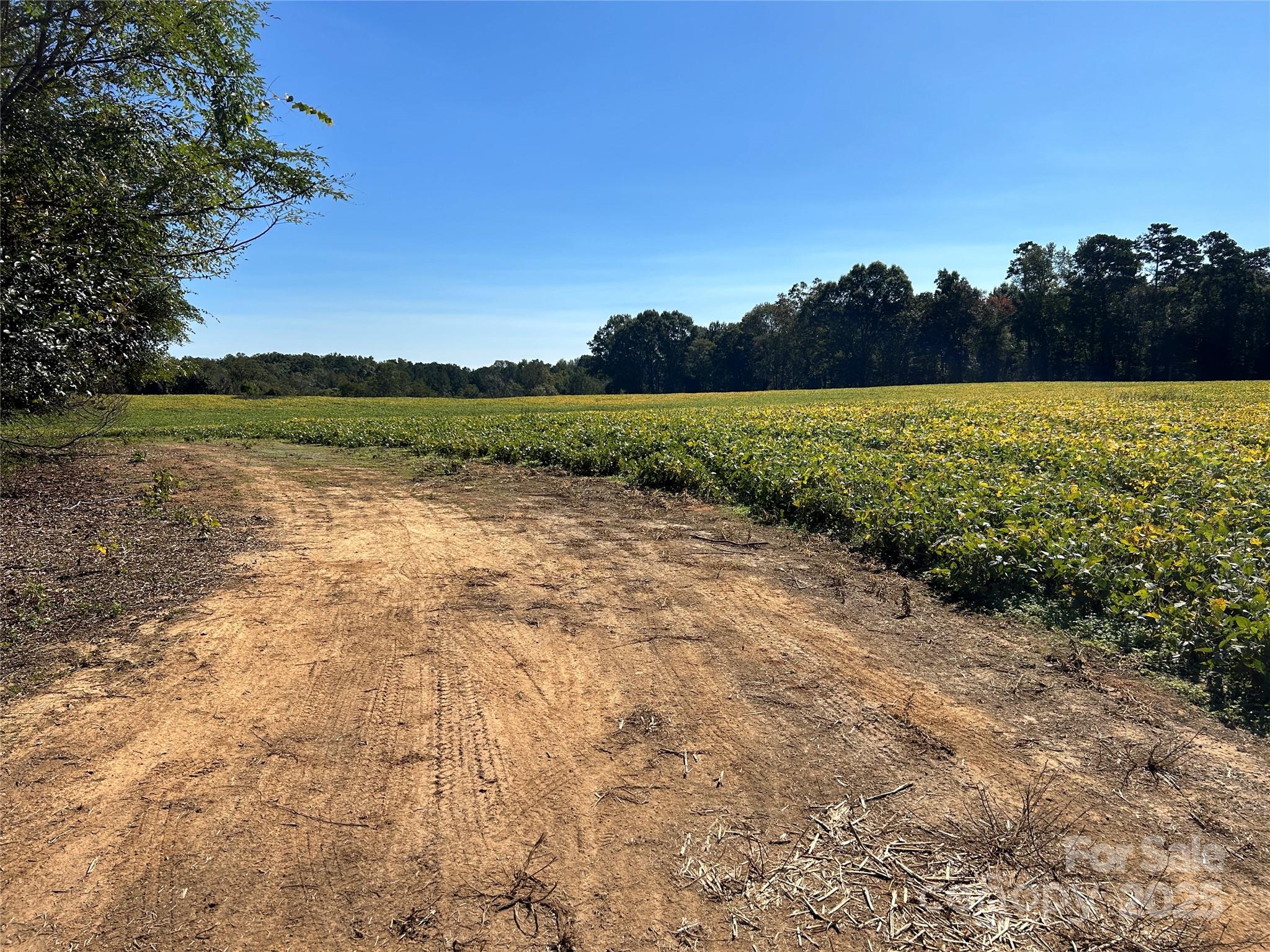 03 Ramsey Road Albemarle NC 28001