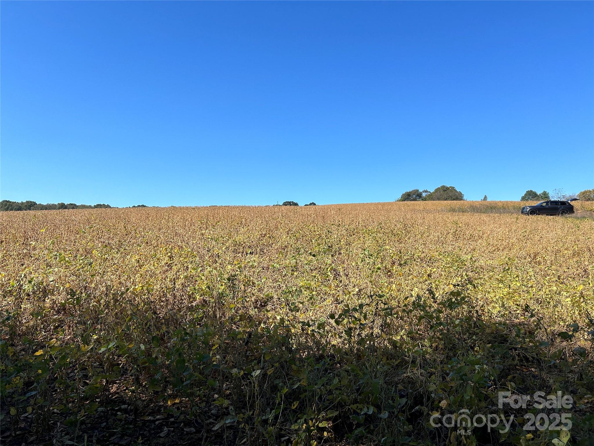 03 Ramsey Road Albemarle NC 28001