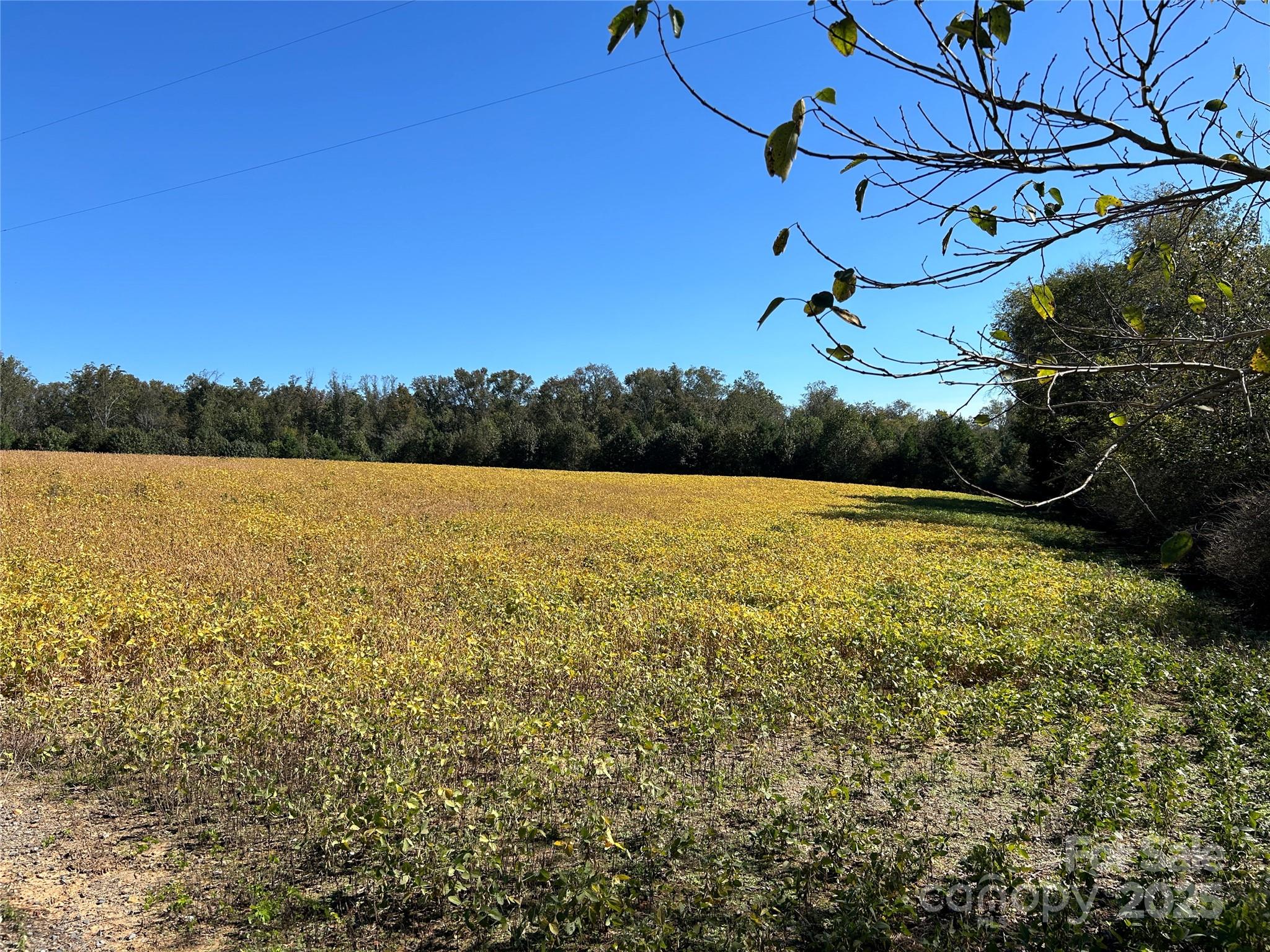 03 Ramsey Road Albemarle NC 28001