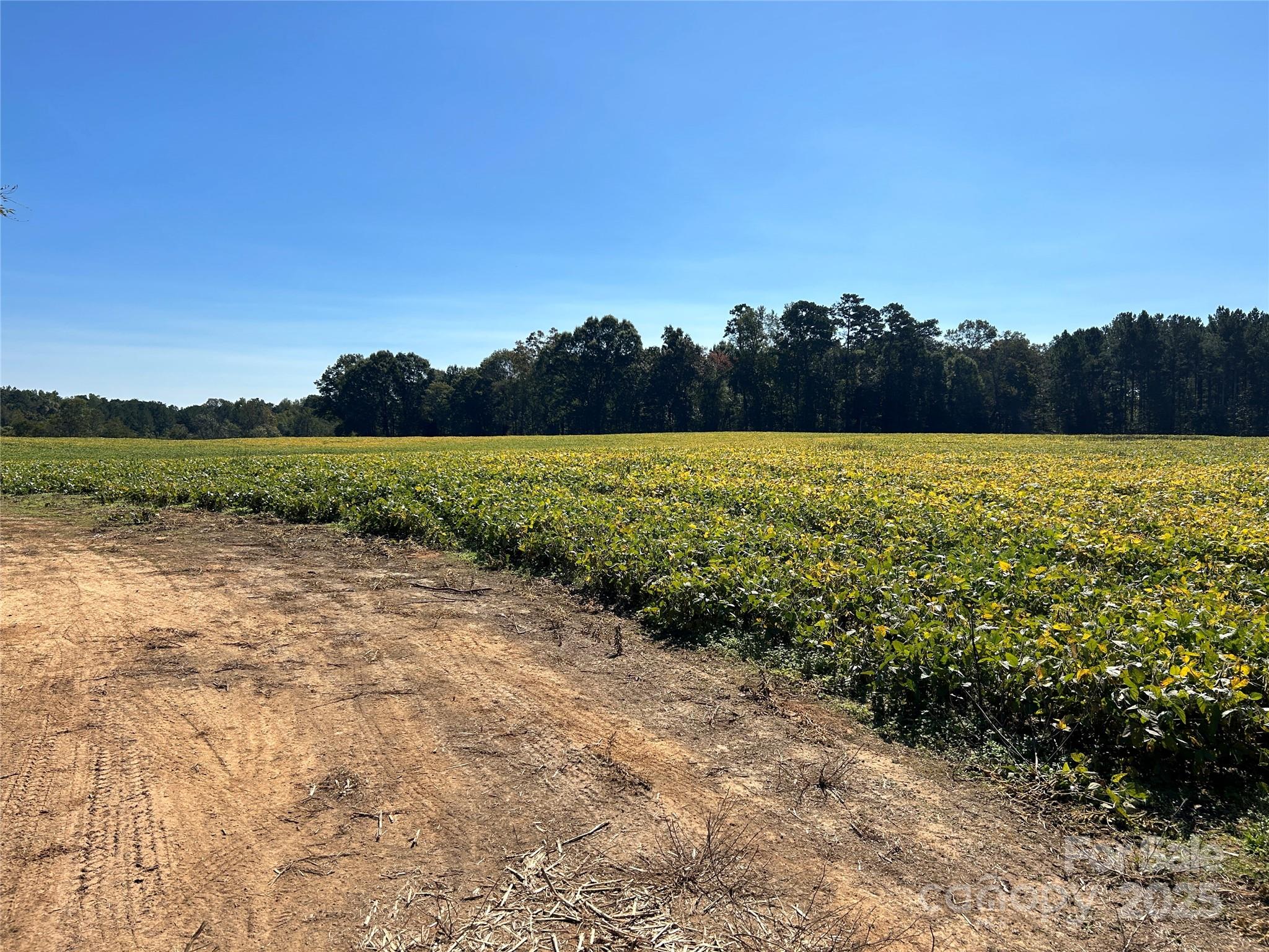 03 Ramsey Road Albemarle NC 28001