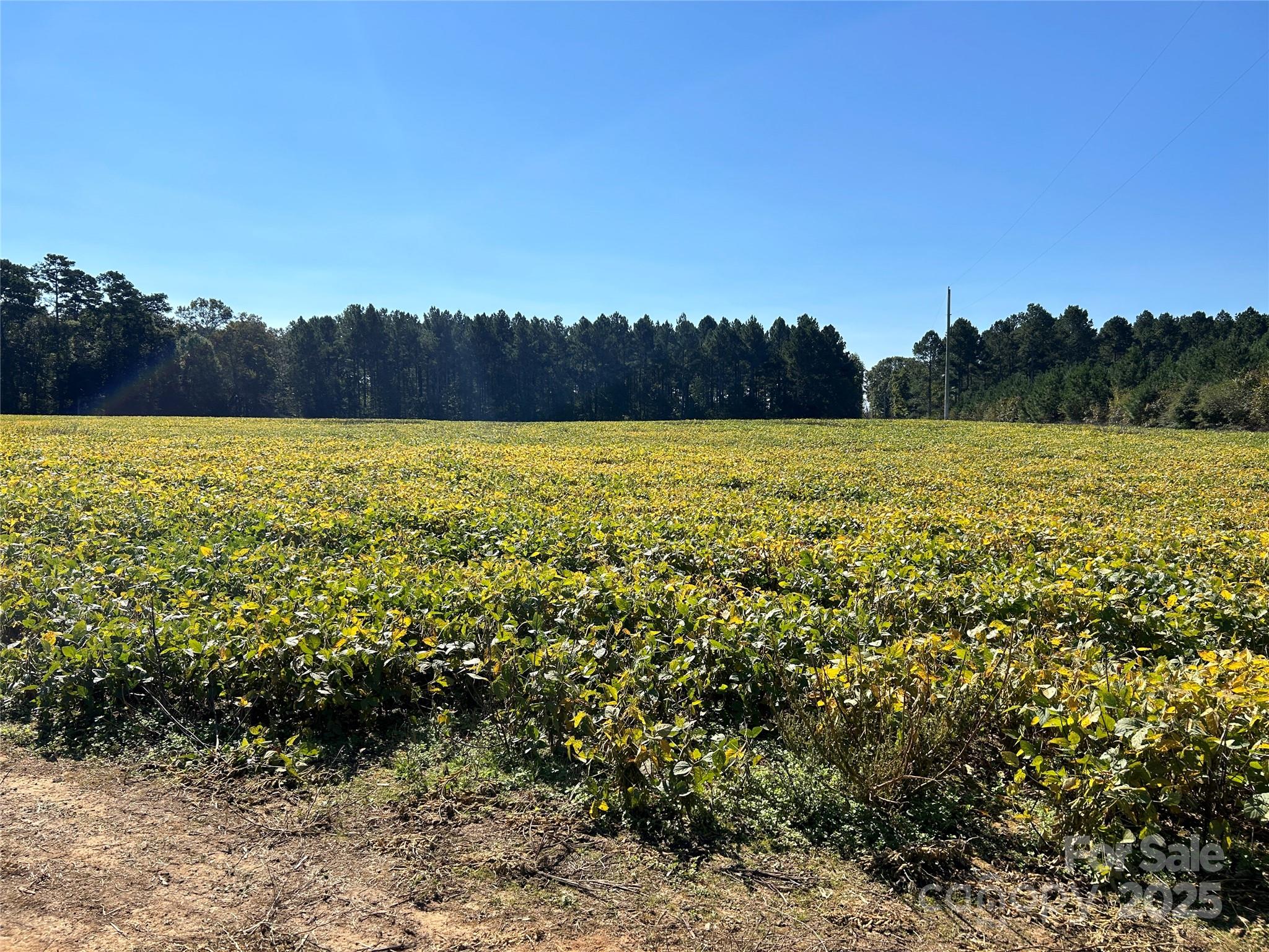 03 Ramsey Road Albemarle NC 28001