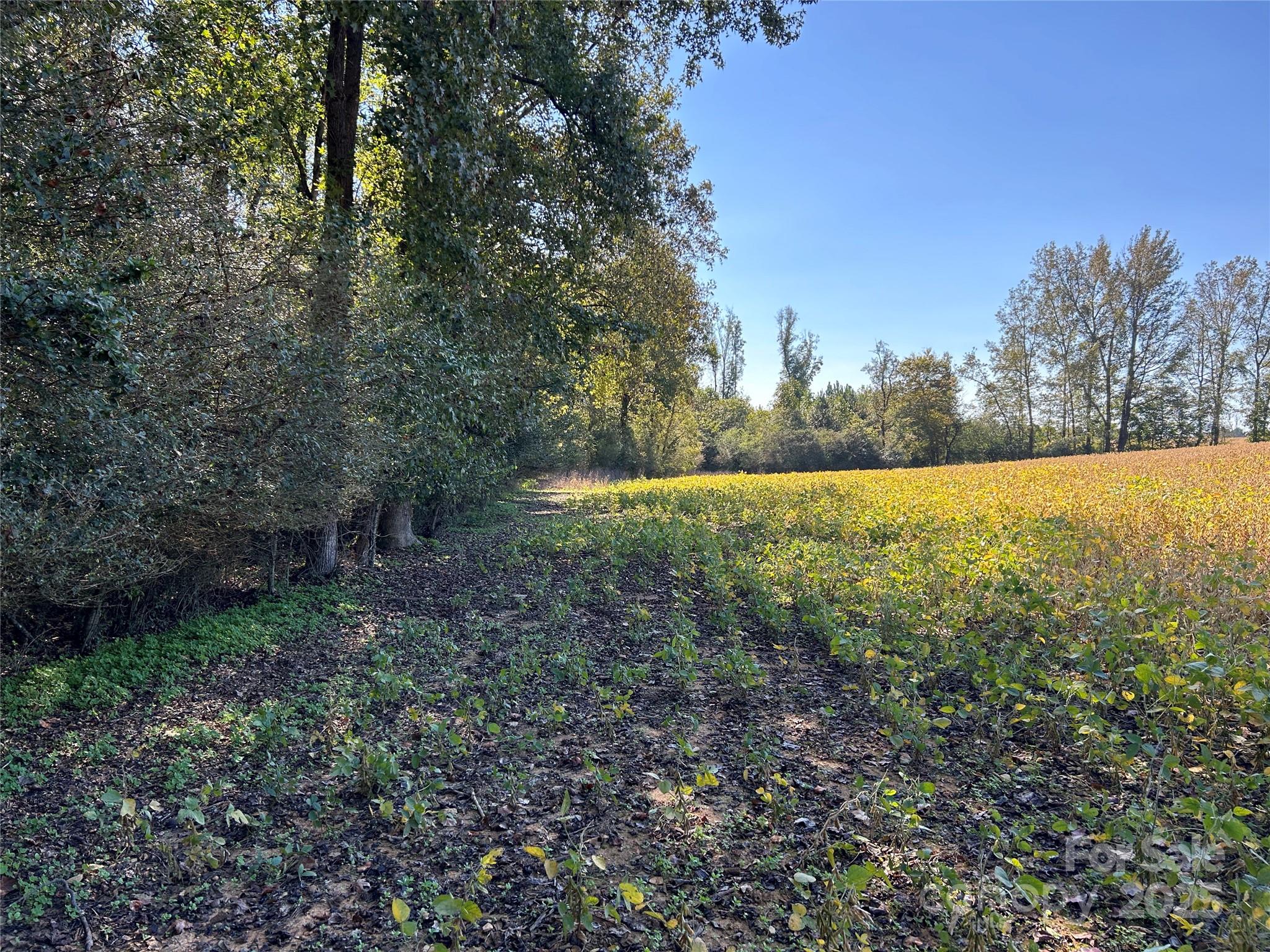 03 Ramsey Road Albemarle NC 28001