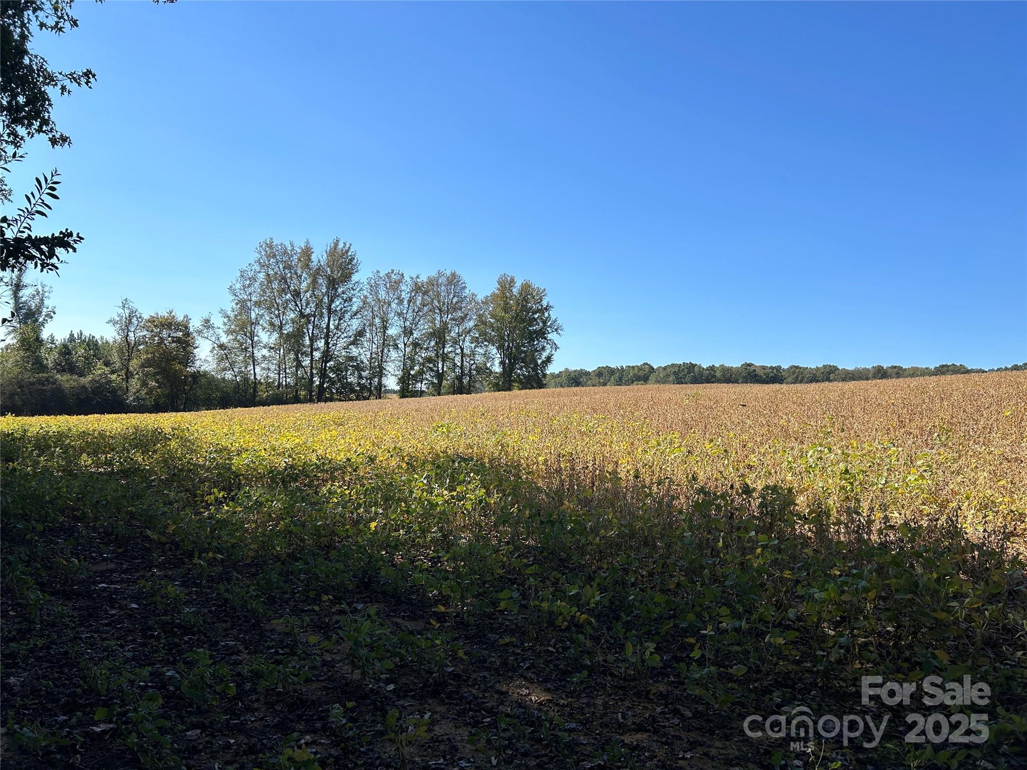 03 Ramsey Road Albemarle NC 28001