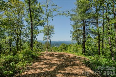 700 Elk Mountain Scenic Highway Asheville NC 28804