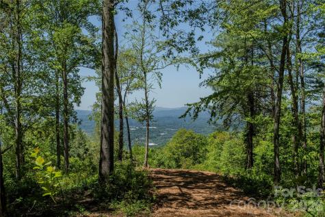 700 Elk Mountain Scenic Highway Asheville NC 28804