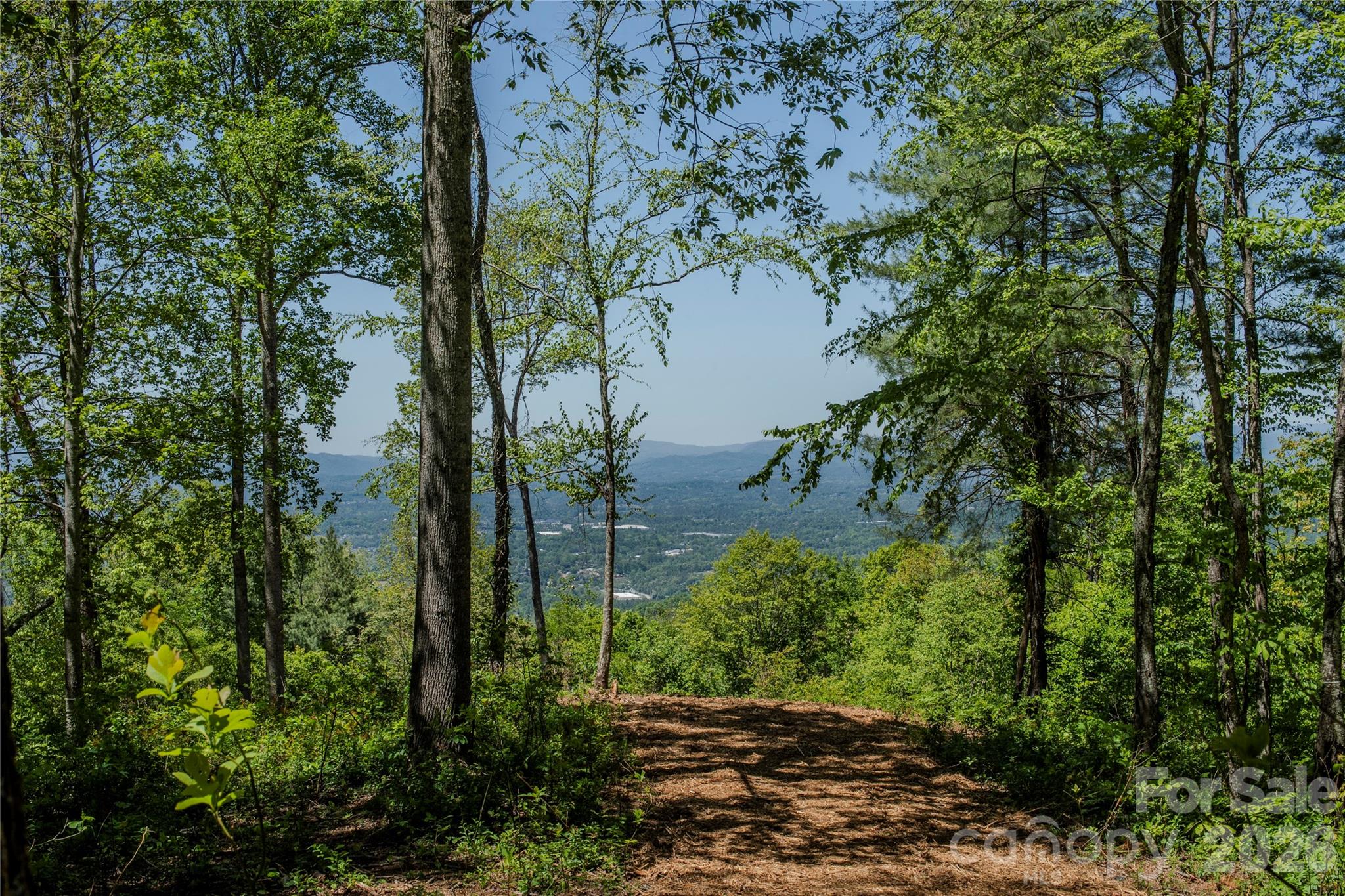 700 Elk Mountain Scenic Highway Asheville NC 28804