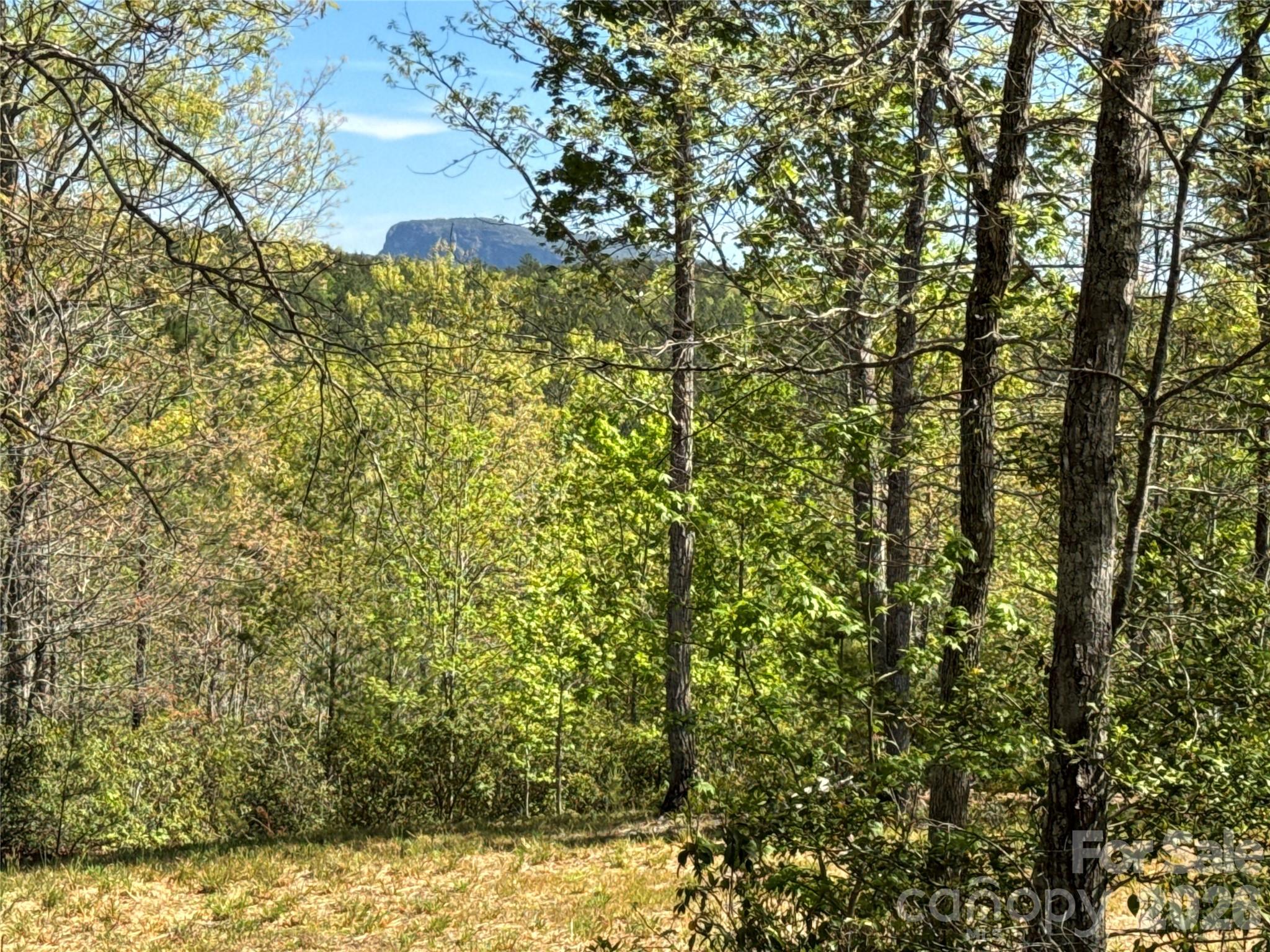284 Bear Cliff Circle Nebo NC 28761