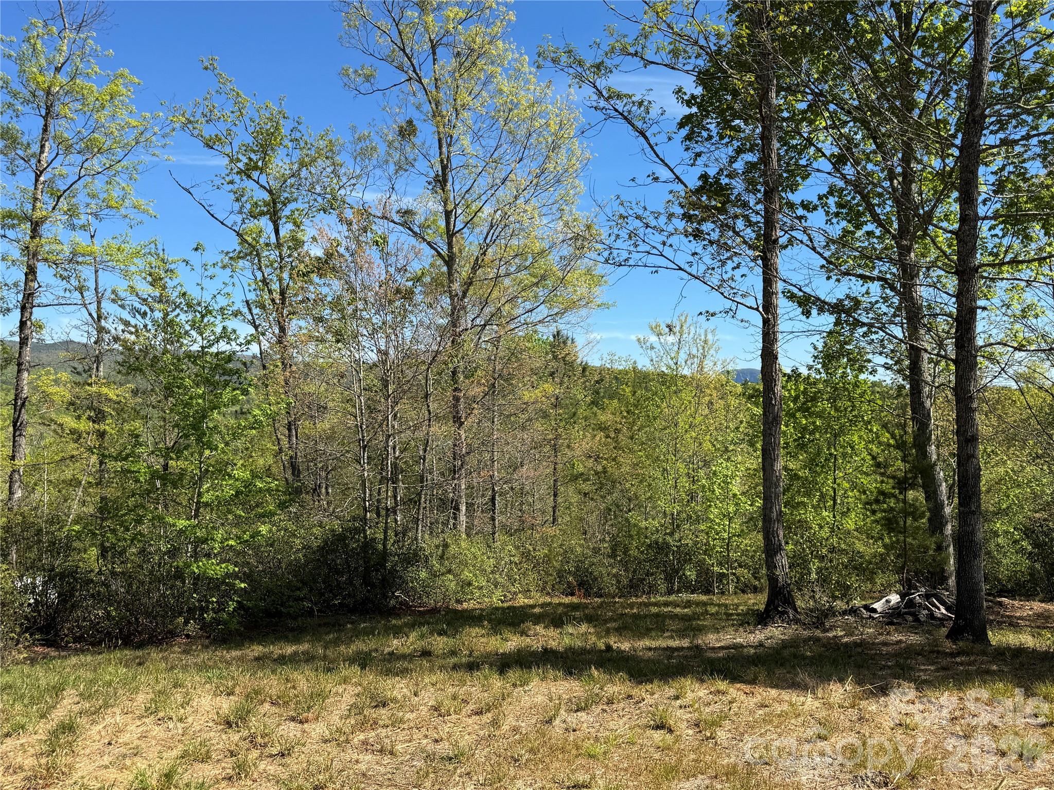 284 Bear Cliff Circle Nebo NC 28761
