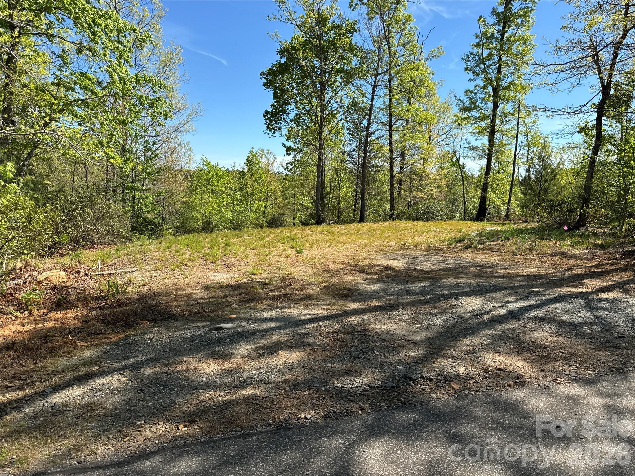284 Bear Cliff Circle Nebo NC 28761