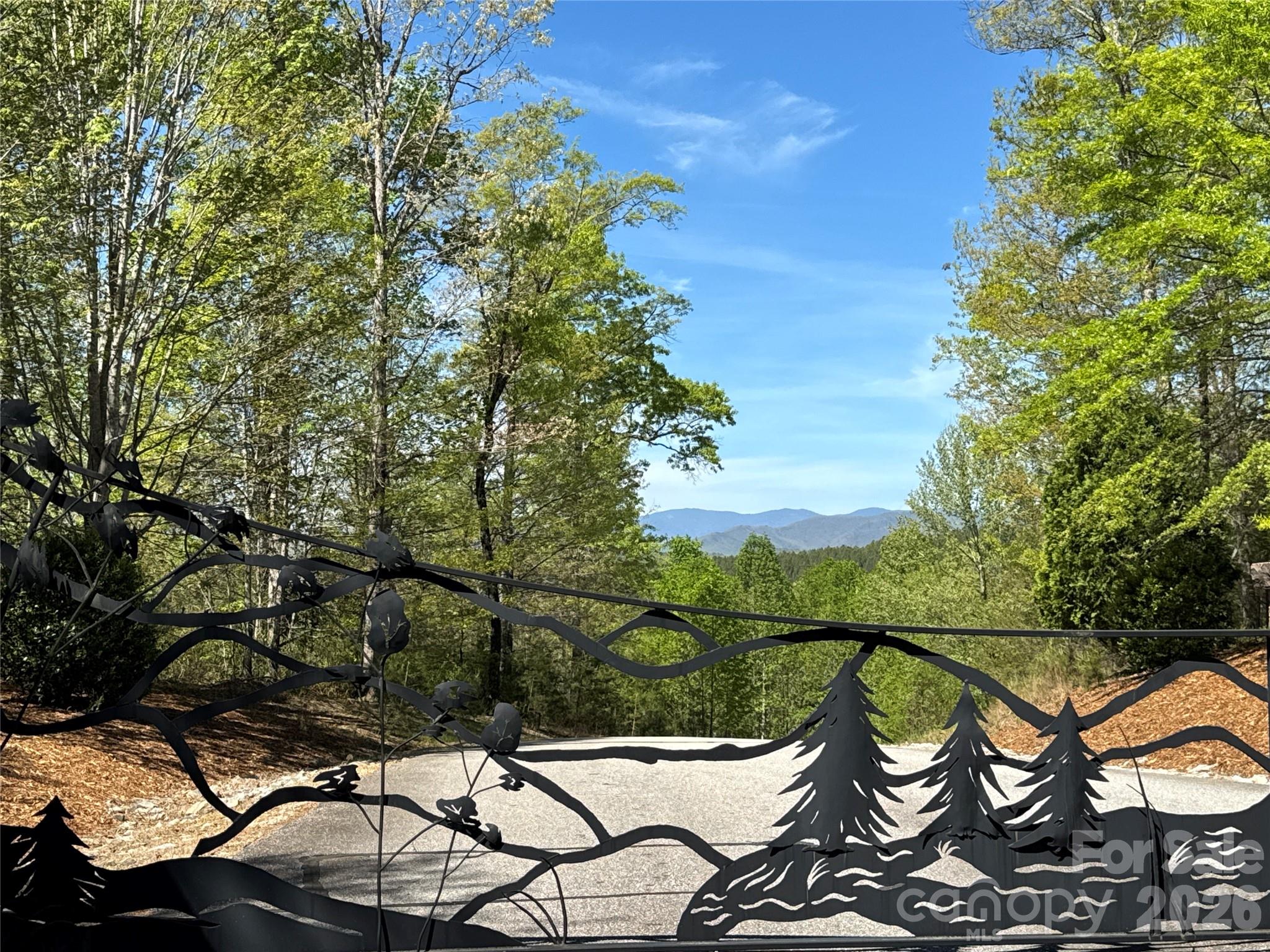 284 Bear Cliff Circle Nebo NC 28761