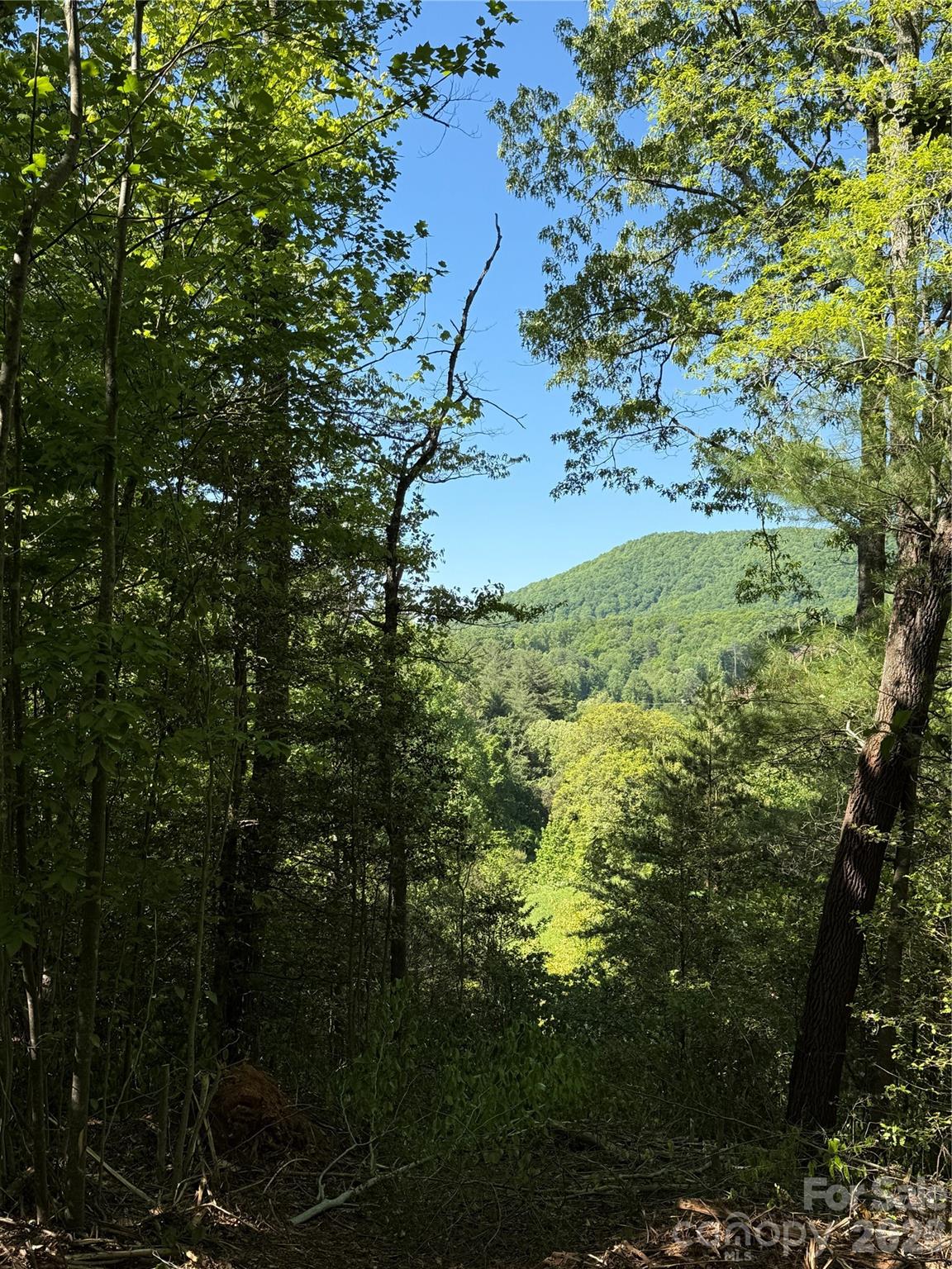 Lot # 3 West Legacy Drive Hendersonville NC 28739