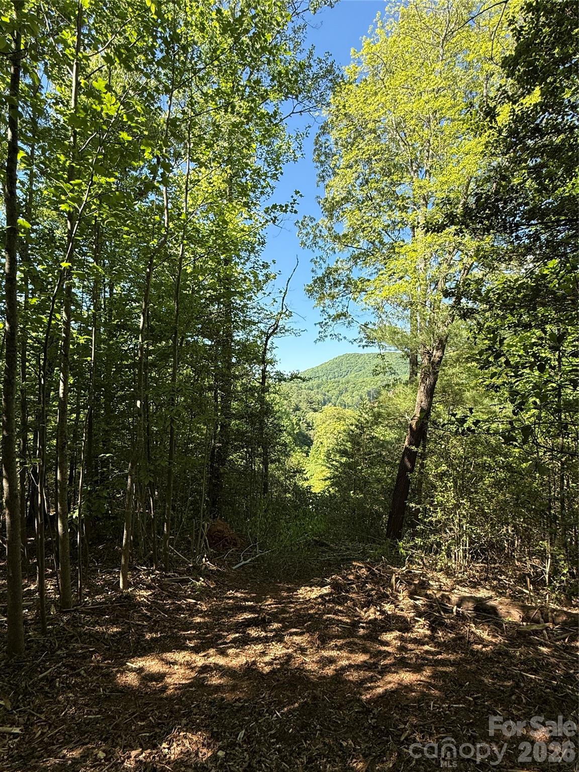 Lot # 3 West Legacy Drive Hendersonville NC 28739