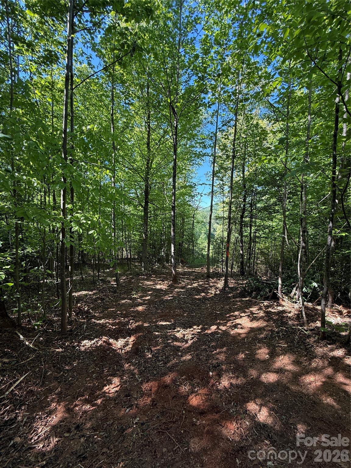 Lot # 3 West Legacy Drive Hendersonville NC 28739