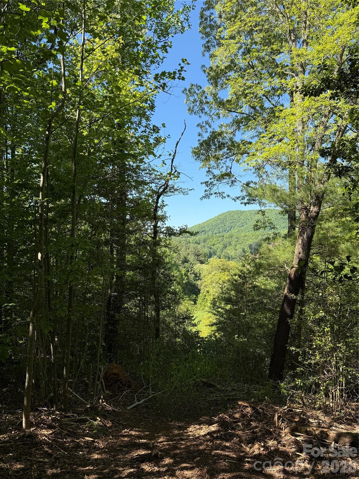 Lot # 3 West Legacy Drive Hendersonville NC 28739