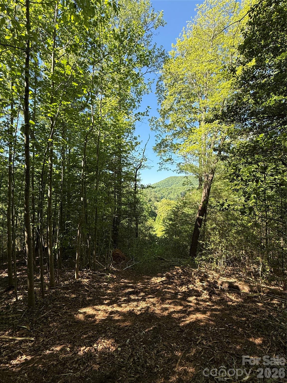 Lot # 3 West Legacy Drive Hendersonville NC 28739