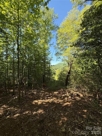 Lot # 3 West Legacy Drive Hendersonville NC 28739