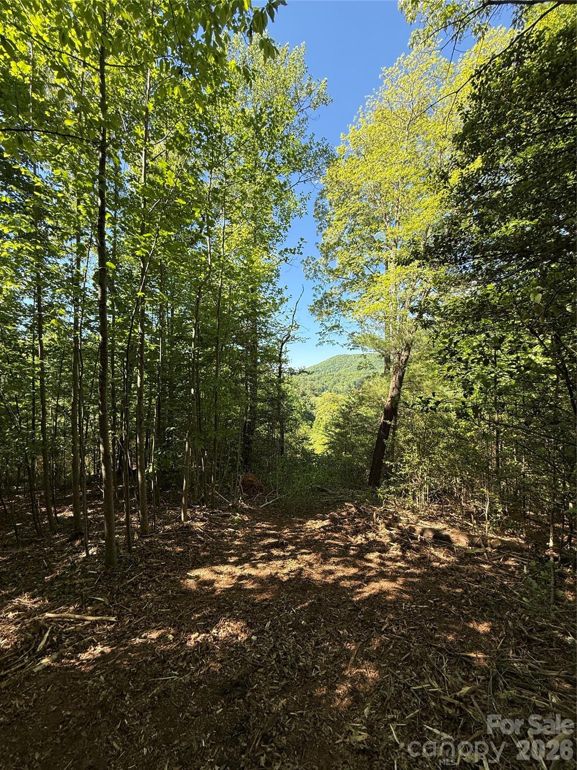 Lot # 3 West Legacy Drive Hendersonville NC 28739