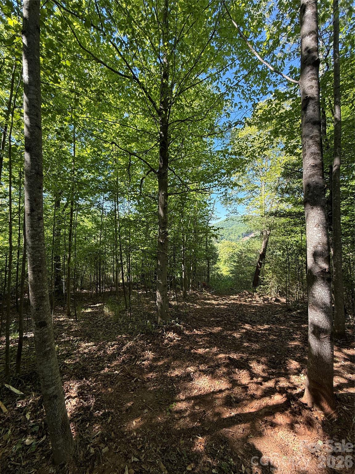 Lot # 3 West Legacy Drive Hendersonville NC 28739