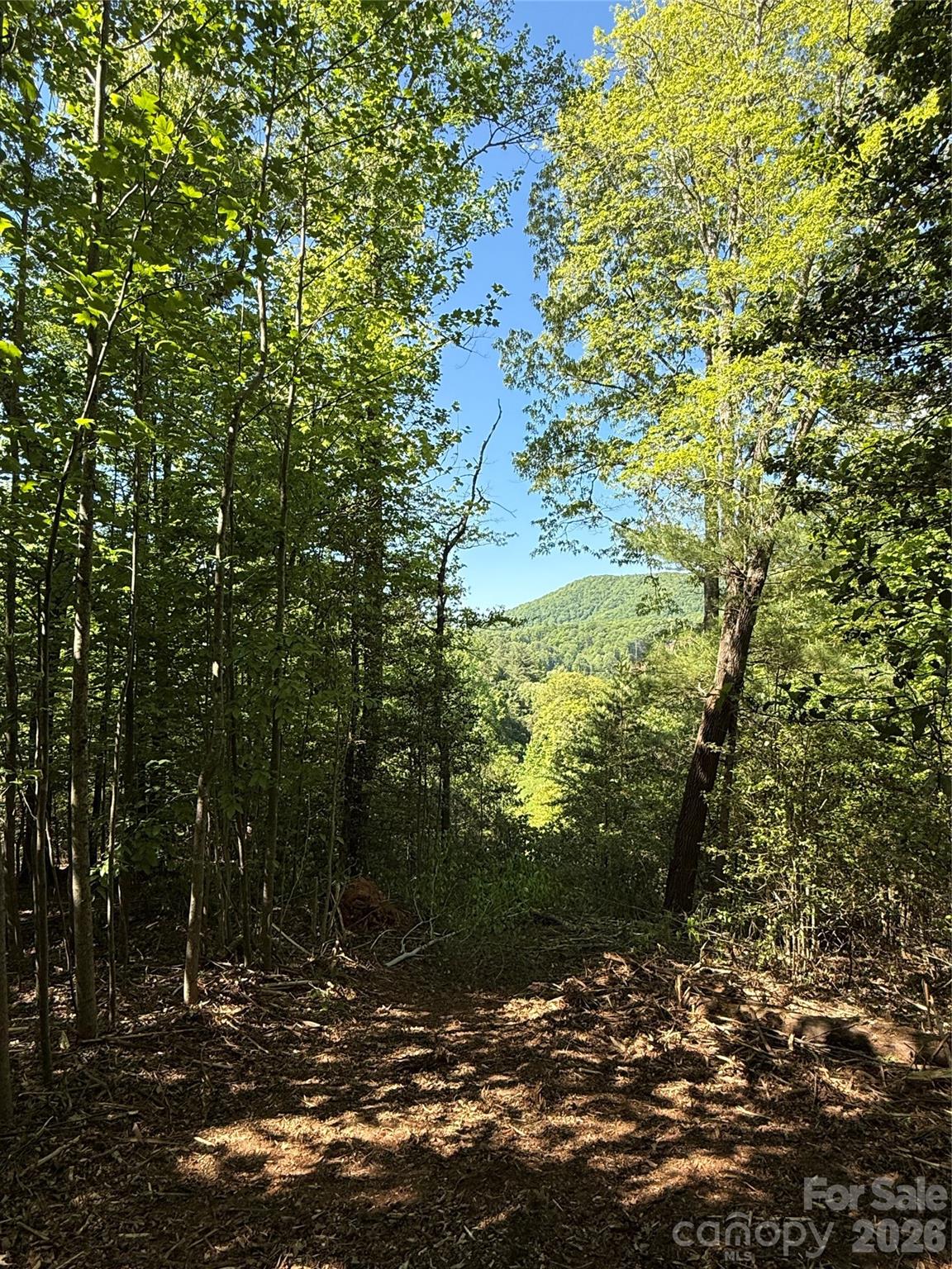 Lot # 3 West Legacy Drive Hendersonville NC 28739