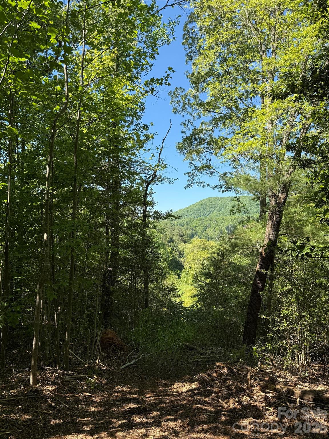 Lot # 3 West Legacy Drive Hendersonville NC 28739