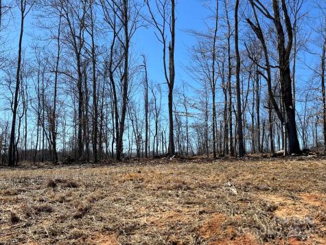 00 Absher Road Traphill NC 28685