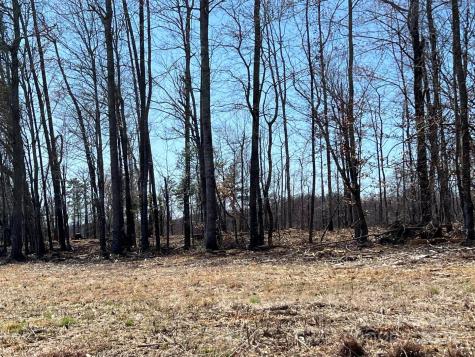 00 Absher Road Traphill NC 28685