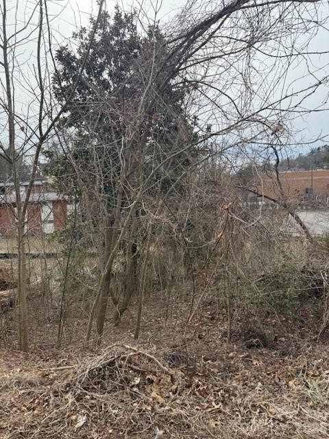Asheville NC, 33 Johnson Drive