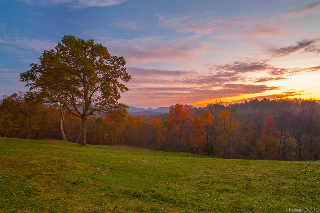 29 Wandering Oaks Way Asheville NC 28805