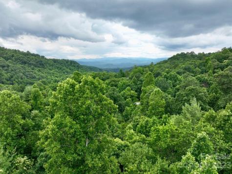 150 Thistlewynd Trail Laurel Park NC 28739