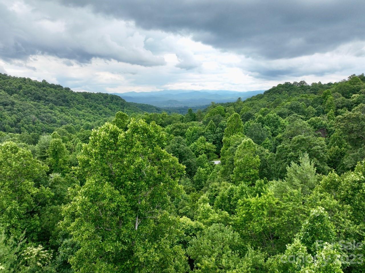 150 Thistlewynd Trail Laurel Park NC 28739