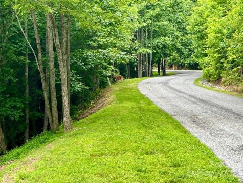 150 Thistlewynd Trail Laurel Park NC 28739