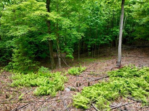 150 Thistlewynd Trail Laurel Park NC 28739