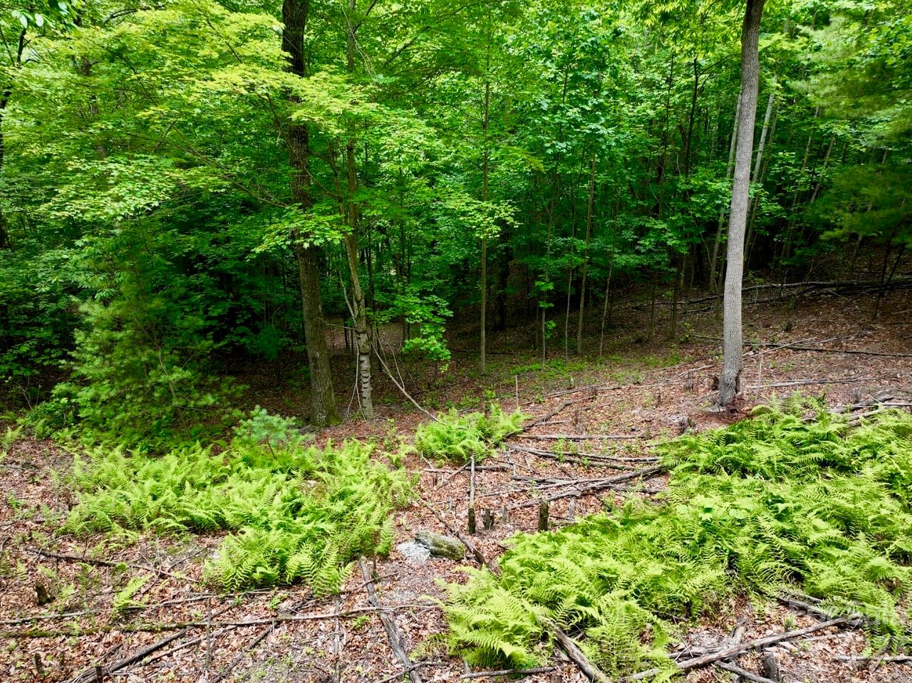150 Thistlewynd Trail Laurel Park NC 28739