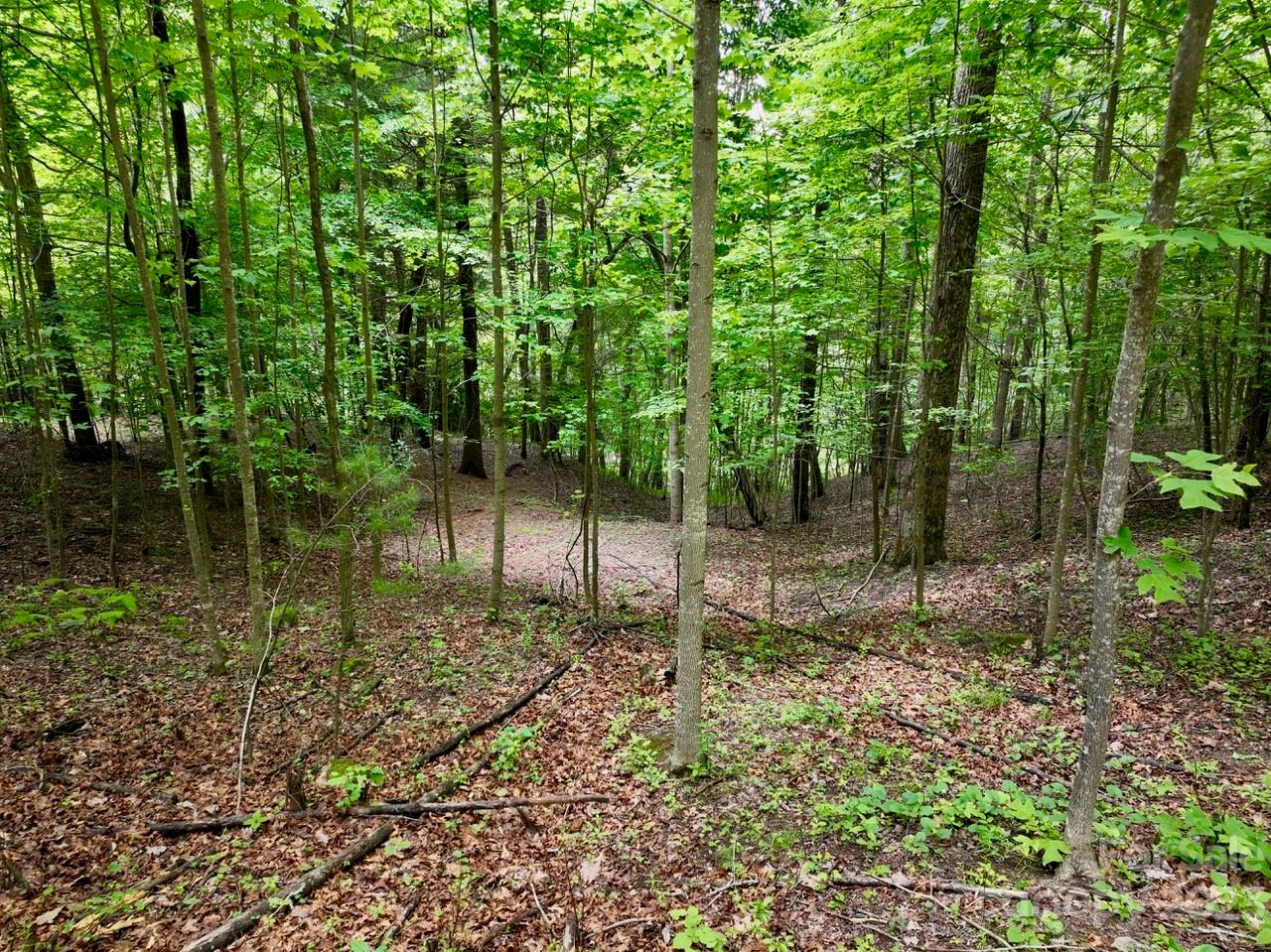150 Thistlewynd Trail Laurel Park NC 28739