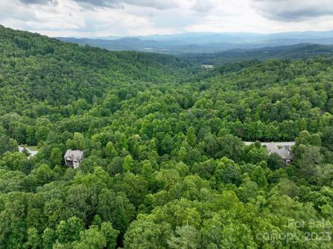 150 Thistlewynd Trail Laurel Park NC 28739