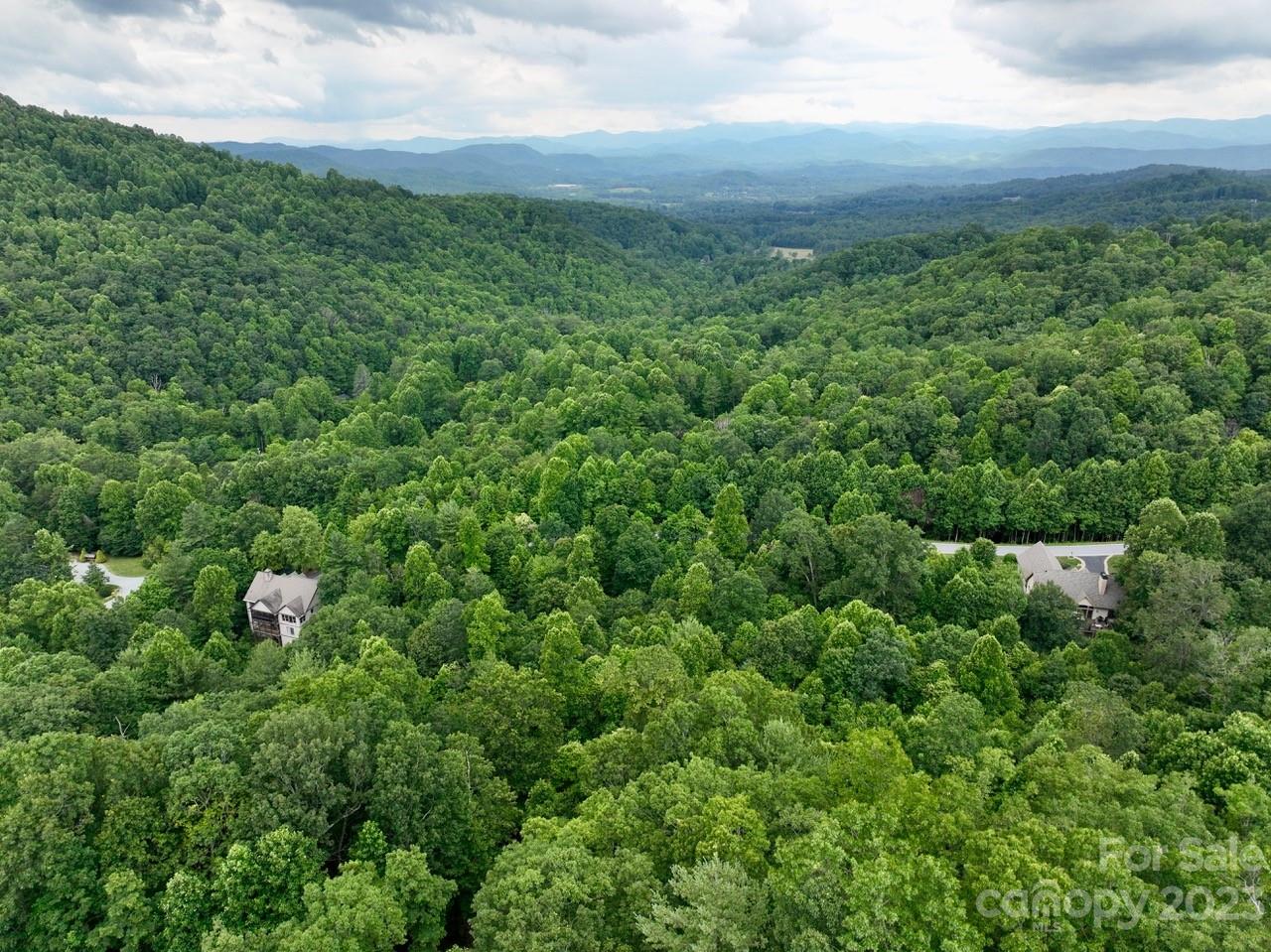 150 Thistlewynd Trail Laurel Park NC 28739