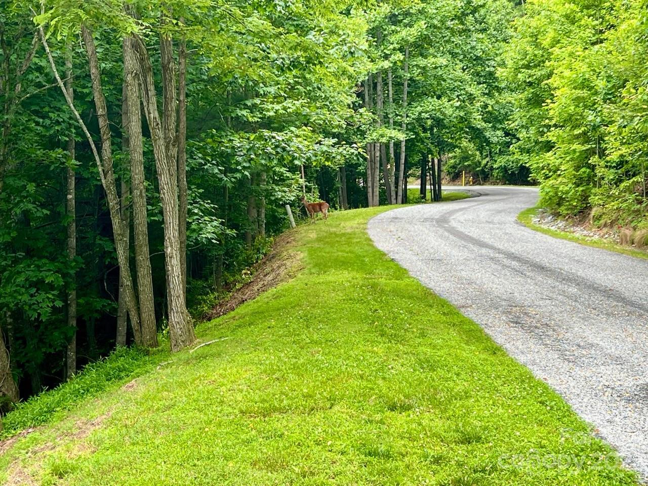 150 Thistlewynd Trail Laurel Park NC 28739