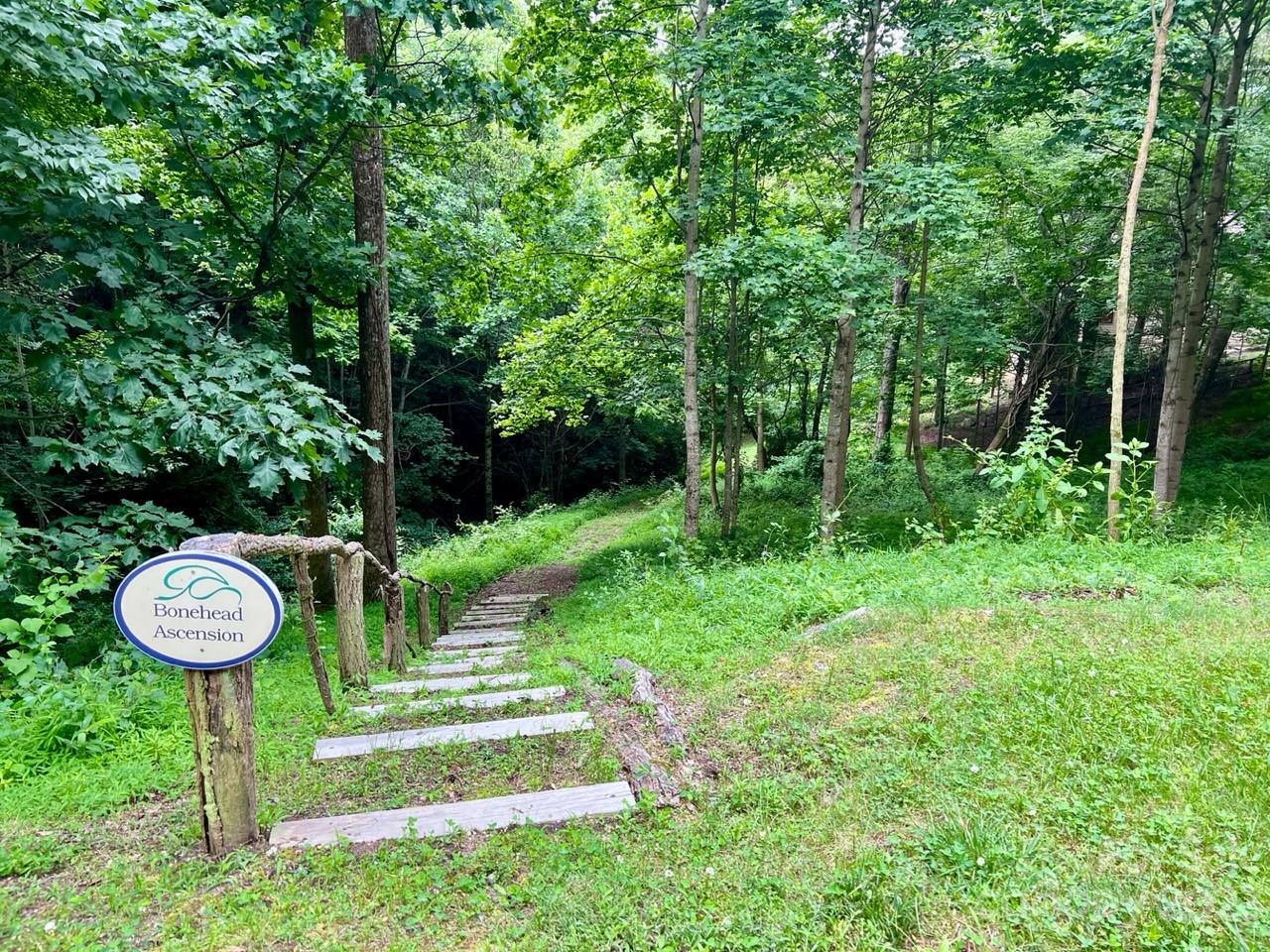 150 Thistlewynd Trail Laurel Park NC 28739
