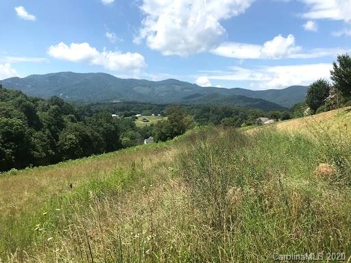 50 S Lindon Cove Road Candler NC 28715
