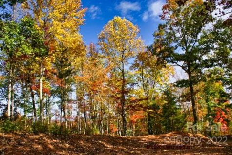 0 Hearthstone Drive Union Mills NC 28167