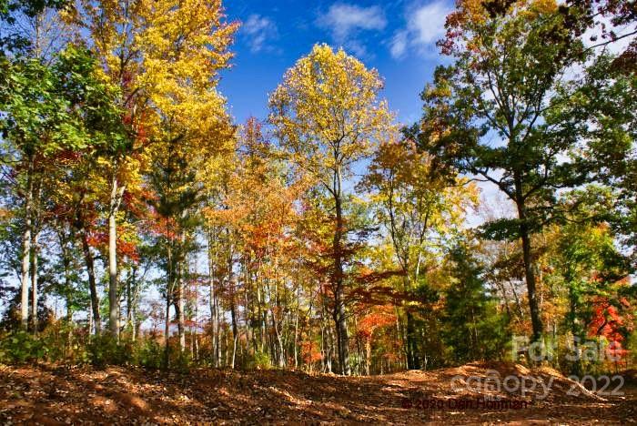 0 Hearthstone Drive Union Mills NC 28167