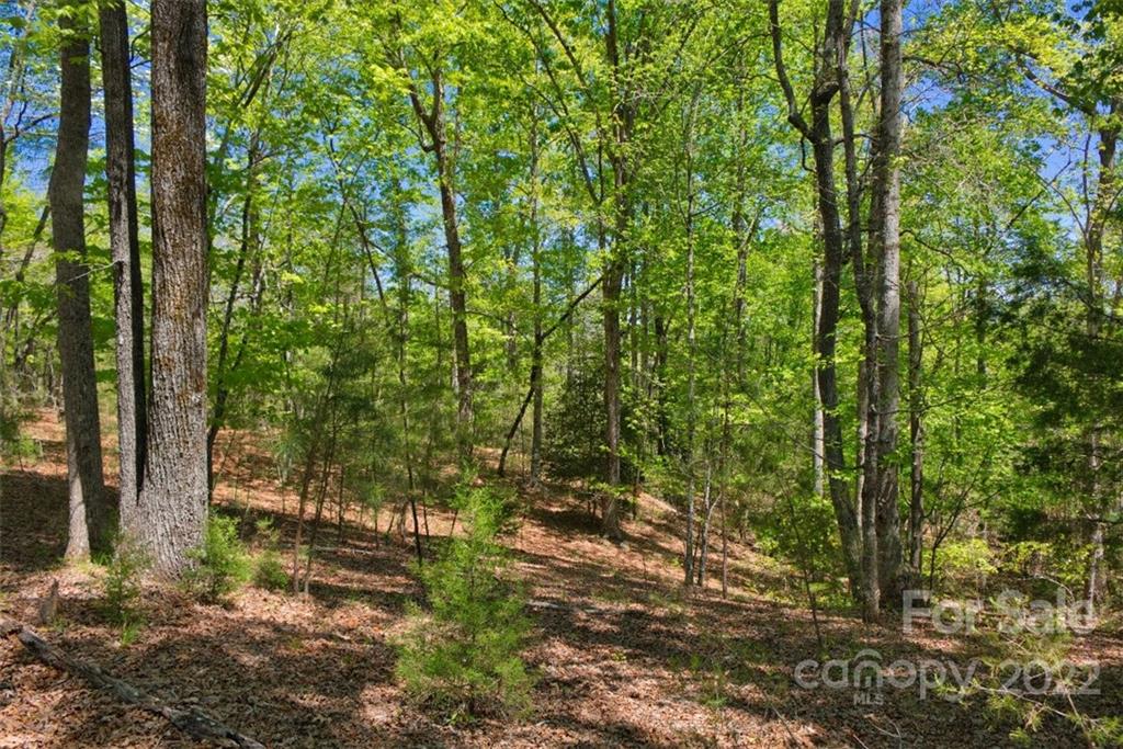 0 Hearthstone Drive Union Mills NC 28167