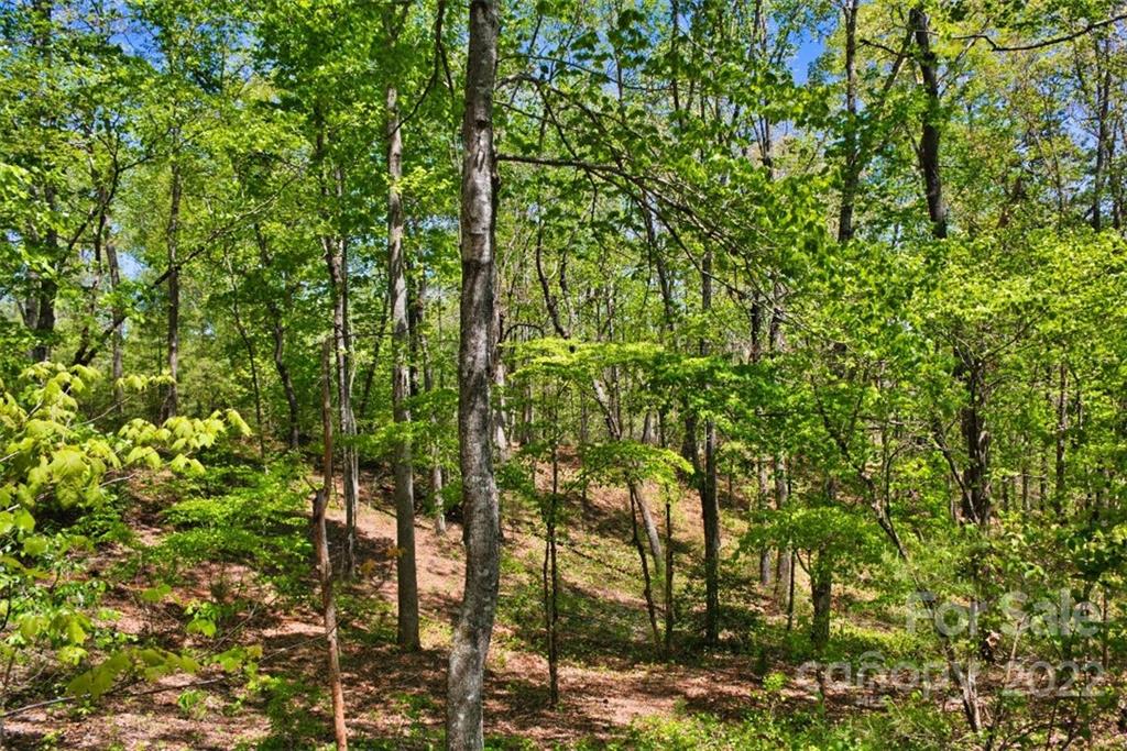0 Hearthstone Drive Union Mills NC 28167