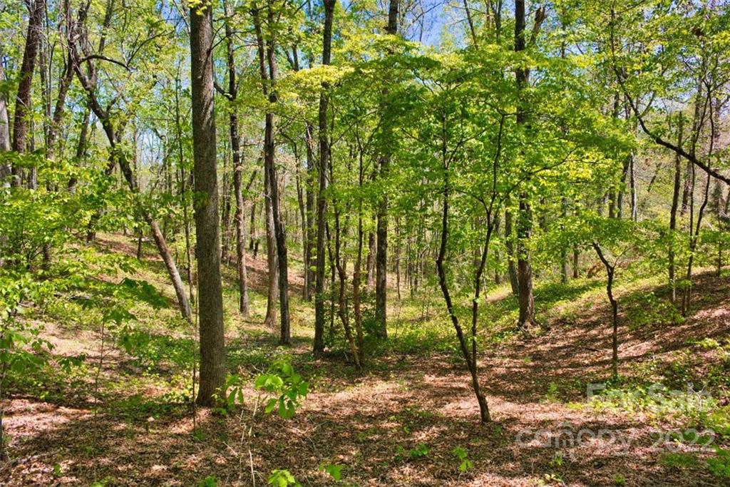 0 Hearthstone Drive Union Mills NC 28167