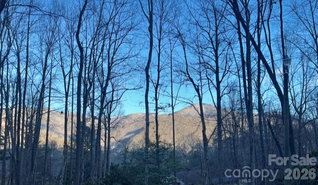 1 Hickory Drive Maggie Valley NC 28751