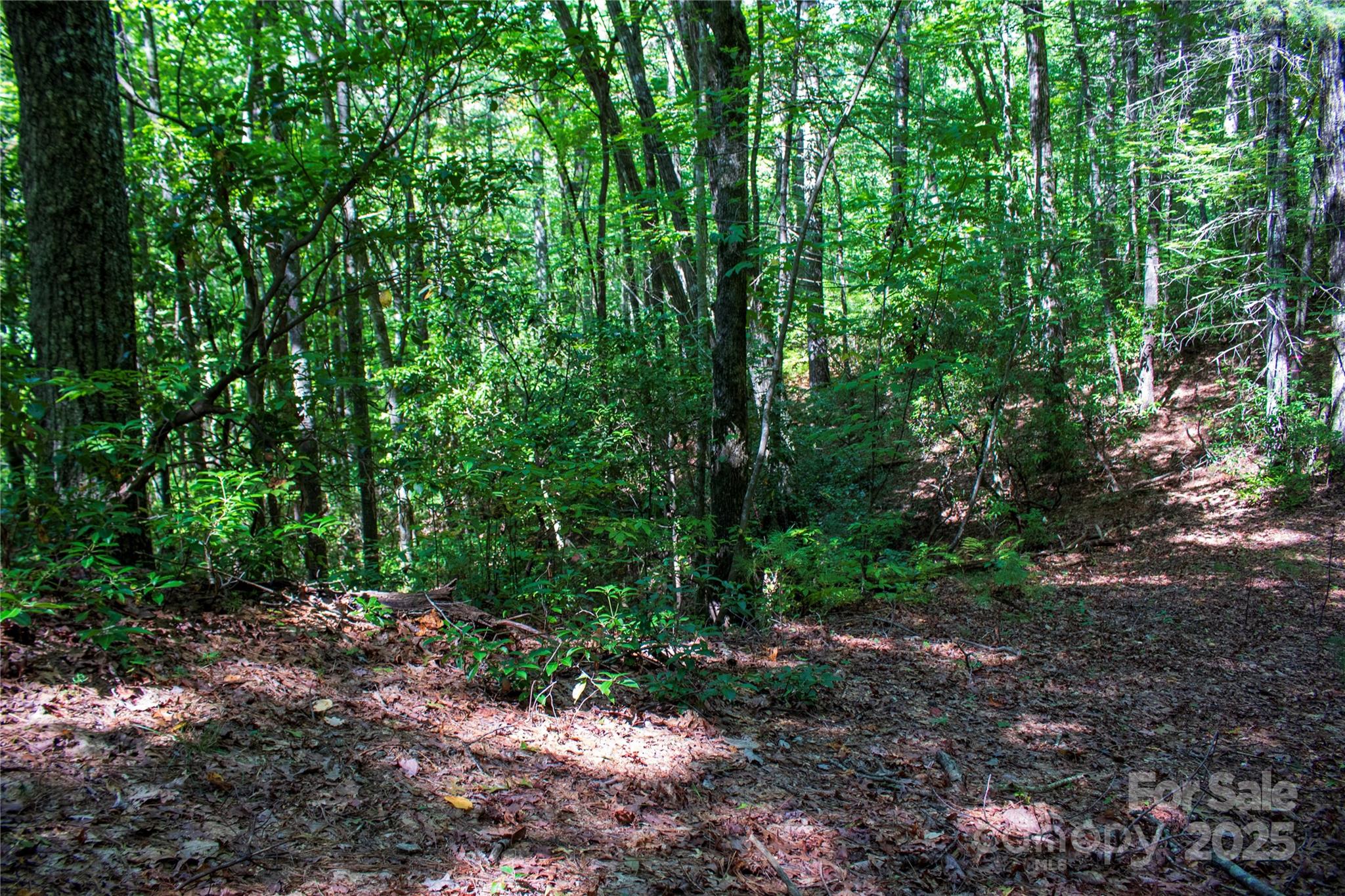 Tbd Frozen Creek Brevard NC 28712
