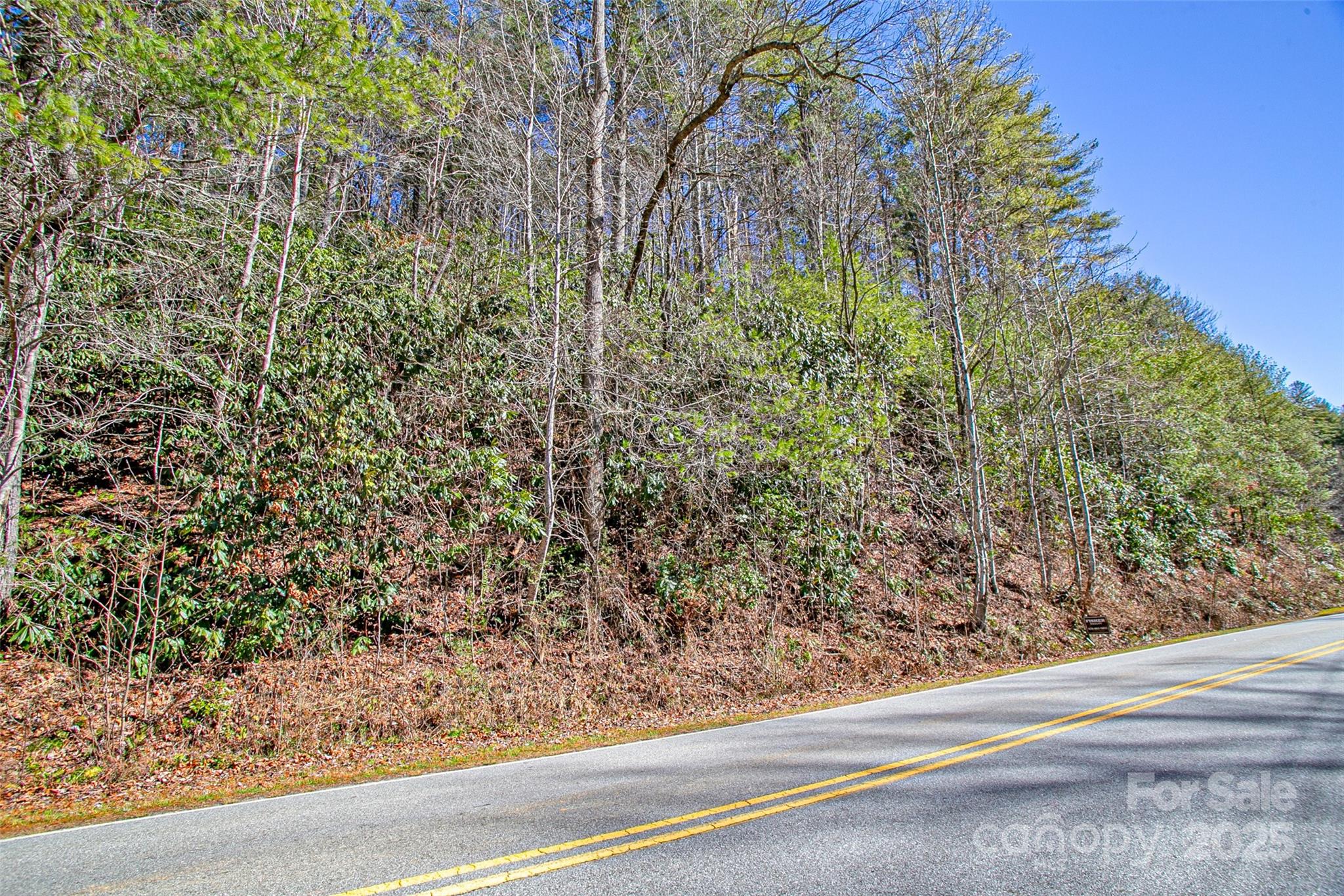 Tbd Frozen Creek Brevard NC 28712