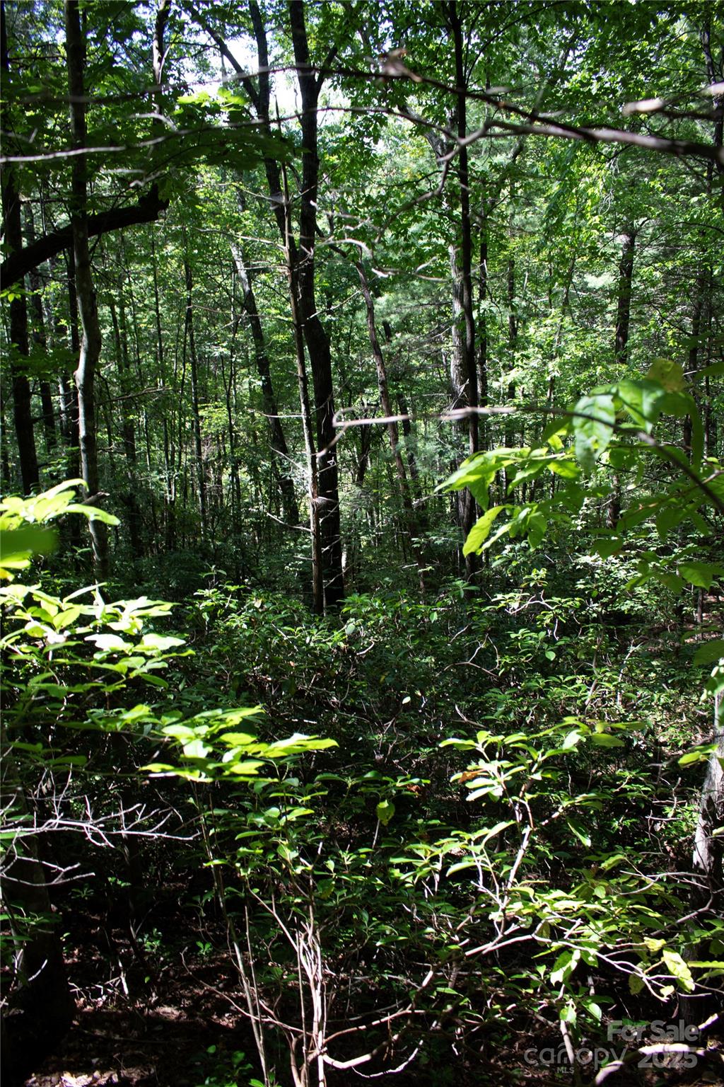 Tbd Frozen Creek Brevard NC 28712
