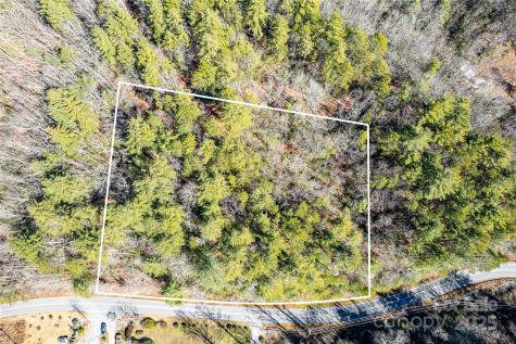 Tbd Frozen Creek Brevard NC 28712