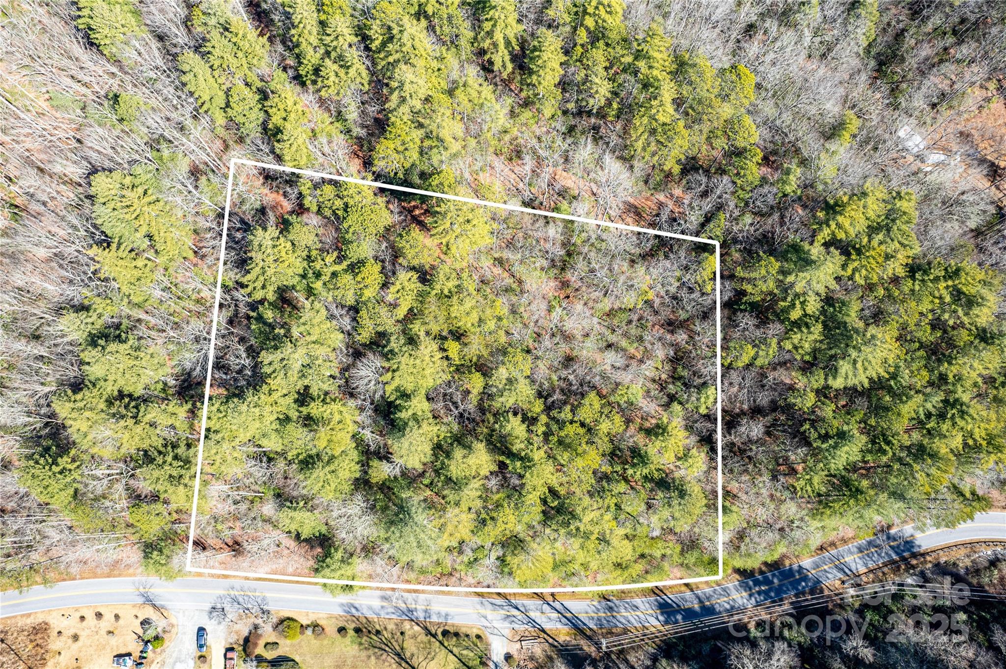 Tbd Frozen Creek Brevard NC 28712